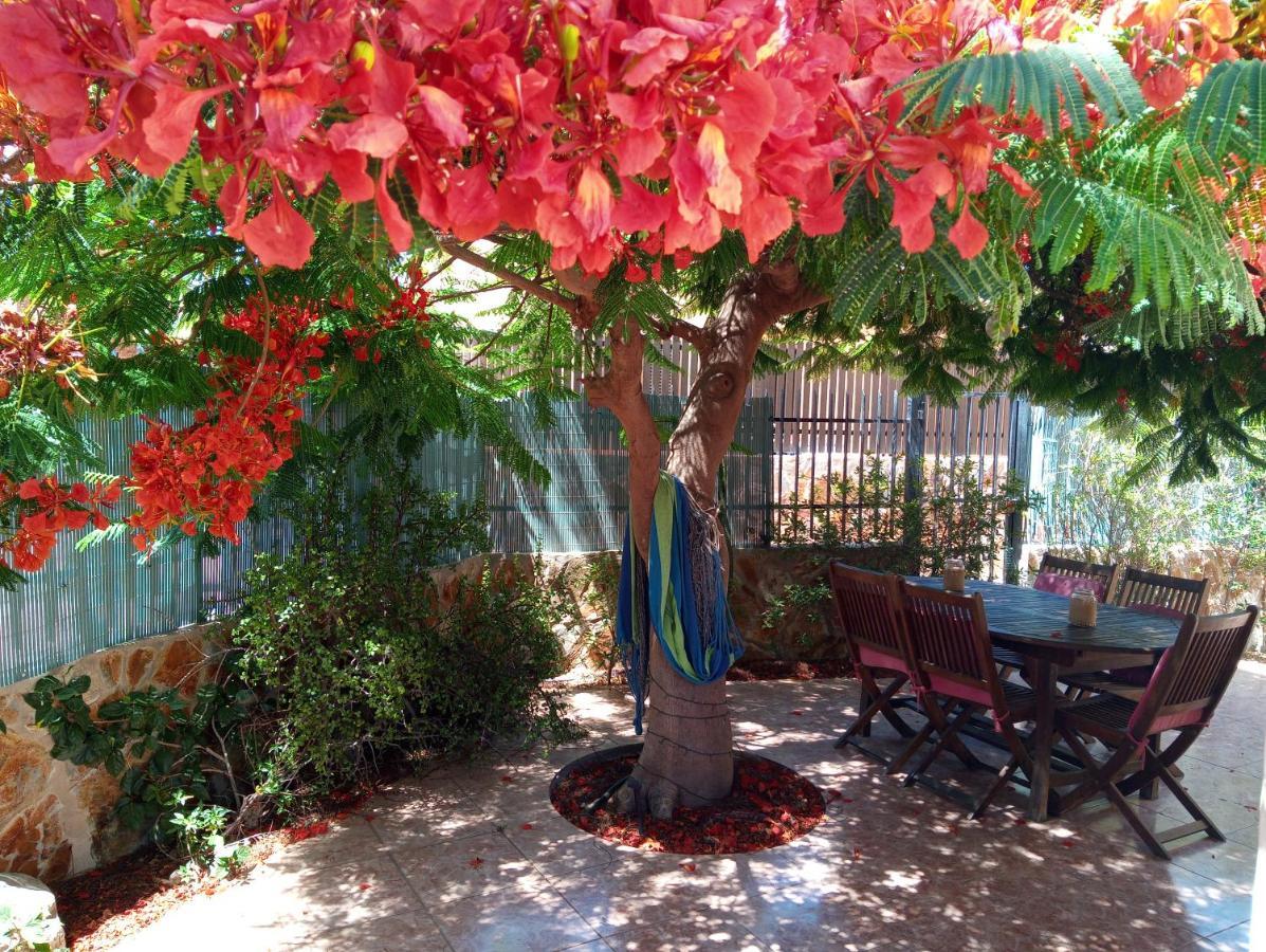 Вілла Bungalow Con Flamboyan En Maspalomas Плайя-дель-Інглес Екстер'єр фото